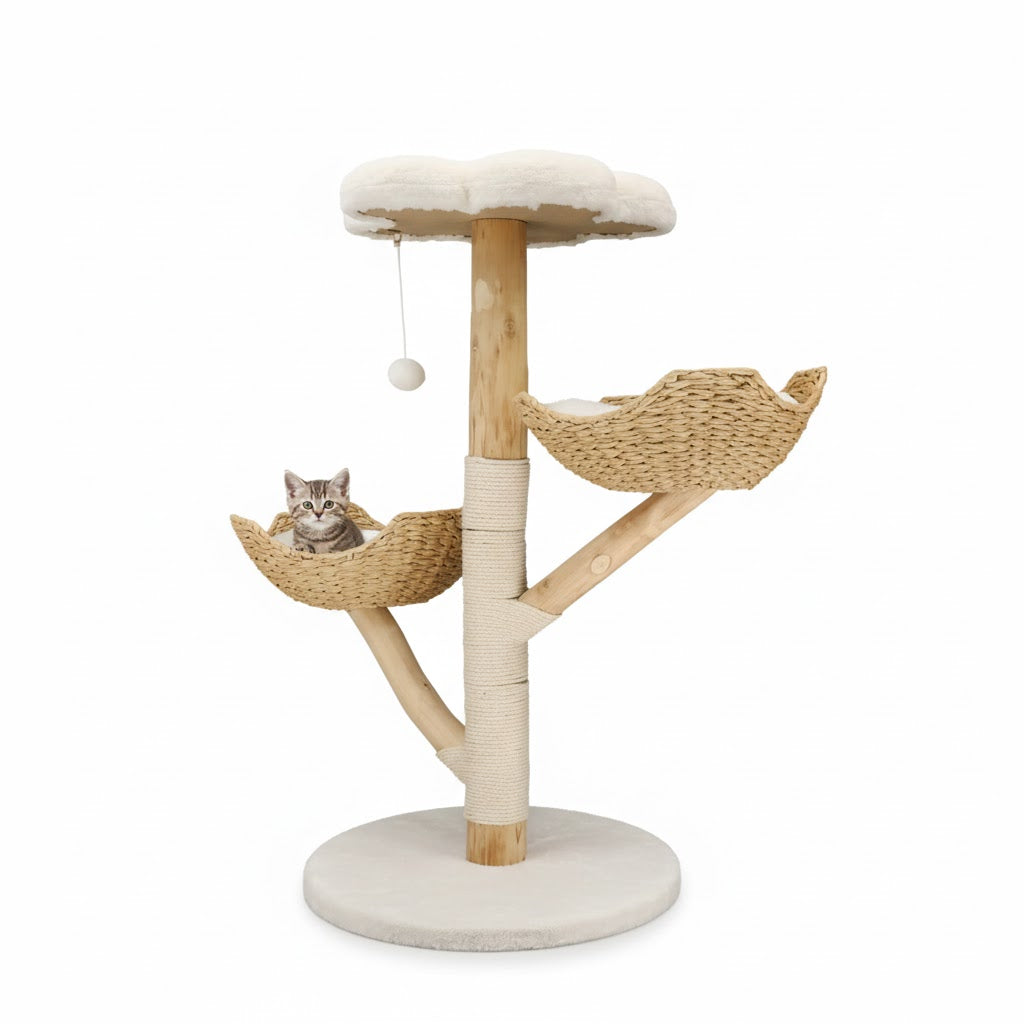 Arbre à chat en bois sur fond blanc avec un chat gris