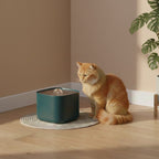 Fontaine automatique de couleur verte dans un salon avec un chat roux