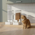Distributeur d'eau et distributeur de croquettes pour chat, avec un chat roux devant