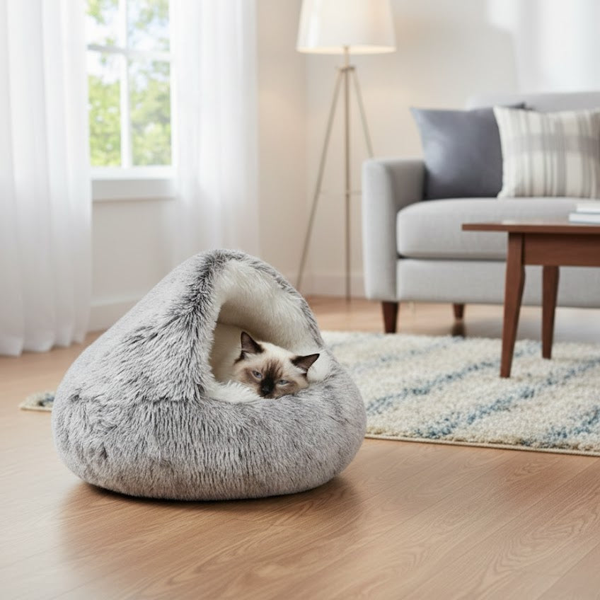 Niche pour chat marron-blanc avec chat blanc et noir dans un salon