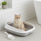 litière pour chat grise et blanche avec un chat beige dedans