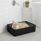 Litière pour chat pliable et transportable de couleur noire et grise avec un chat beige