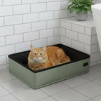 Litière pour chat pliable et transportable de couleur noire et verte avec un chat roux