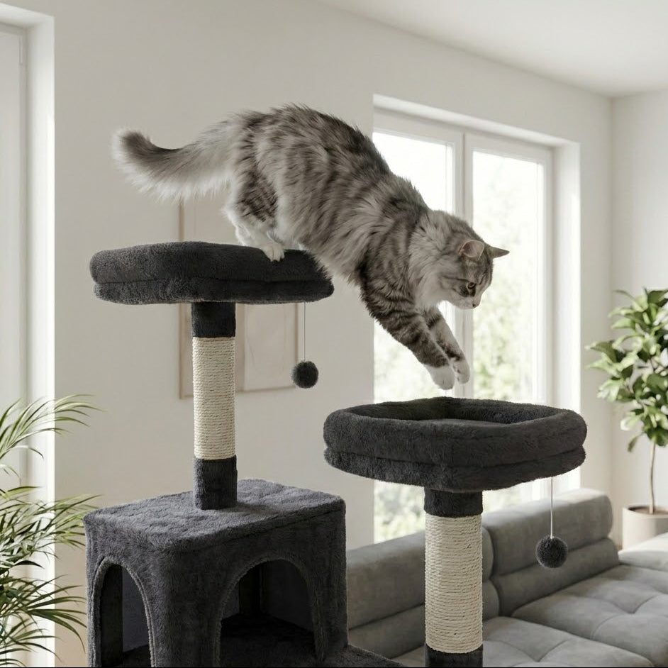 zoom sur les plateformes hautes de l'arbre à chat xxl avec un chat gris et blanc