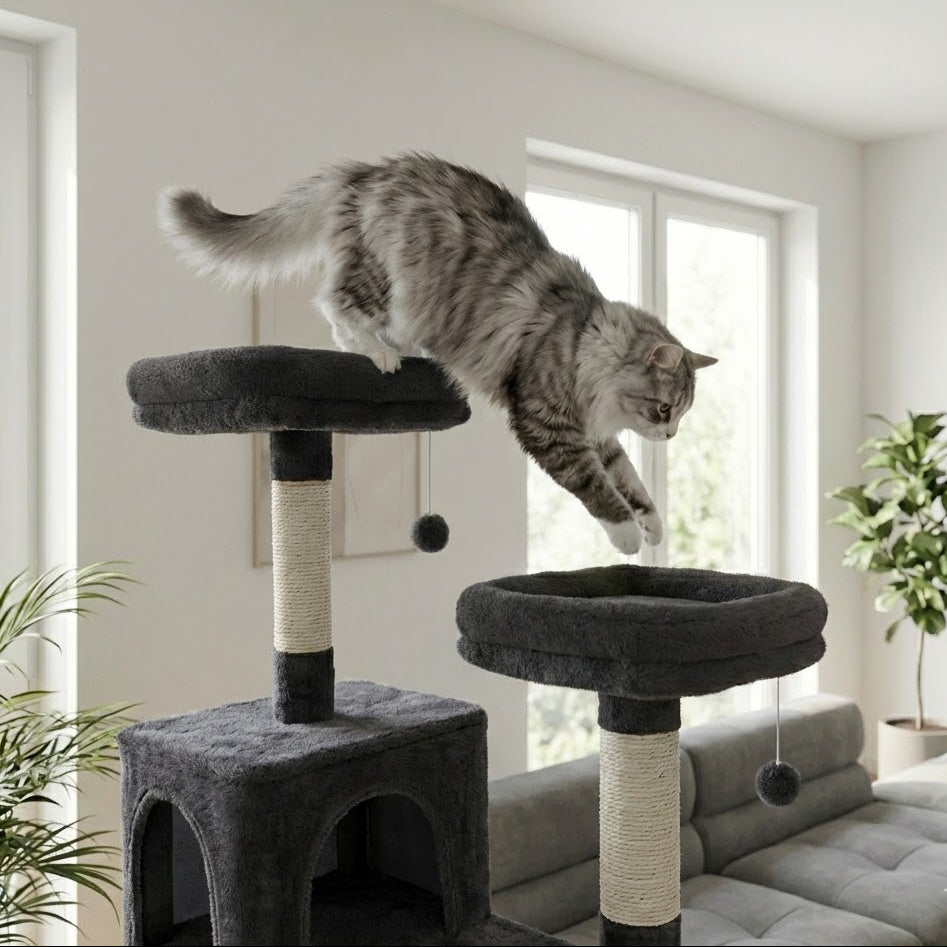 chat gris qui saute de l'arbre à chat univers d'une plateforme à une autre