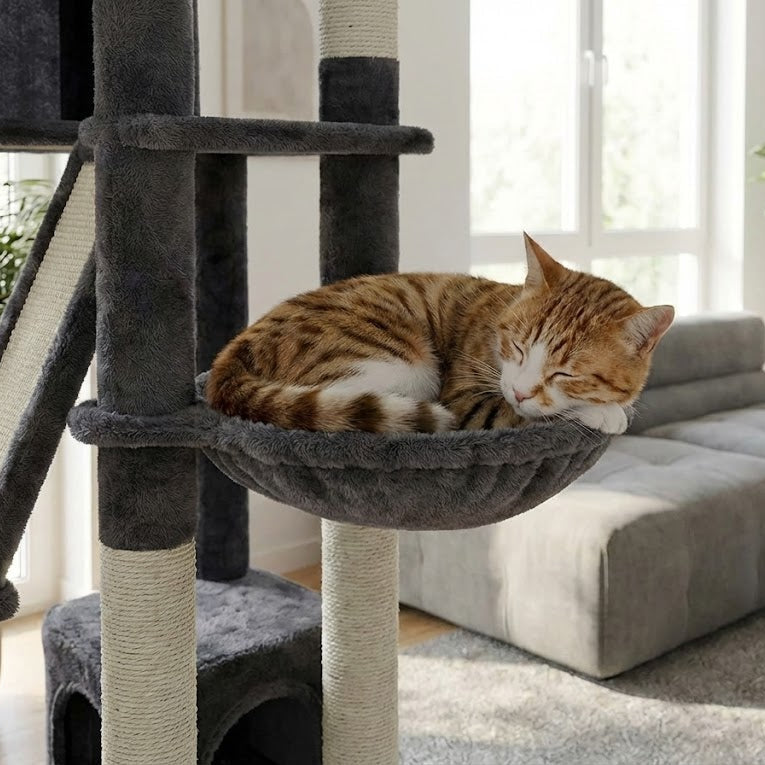 arbre à chat gris univers avec un chat roux qui dort dessus